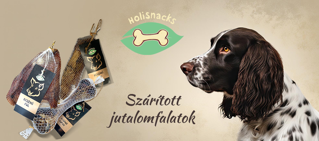 Holisnacks