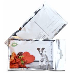 Képeslap jutalomfalattal töltve - Jack Russel kölyök