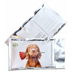 Képeslap jutalomfalattal töltve - Vizsla rózsával