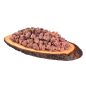 Carnilove Dog Adult lazac és pulyka hússal 400g