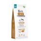Brit Care Grain-Free Senior & Light Salmon & Potato Grain-free - Gabonamentes 12 kg
