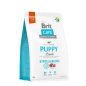 Brit Care Hipoallergén Puppy Lamb & Rice Hipoallergén 3 kg