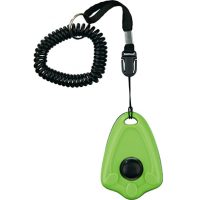 Sport és kiképzés