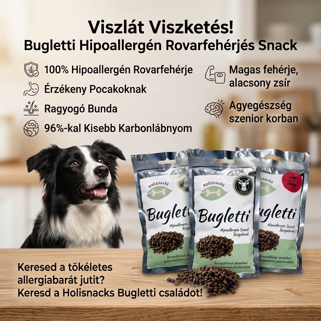 Milyen előnyökkel jár a rovarfehérje az allergiás kutya etetésében?